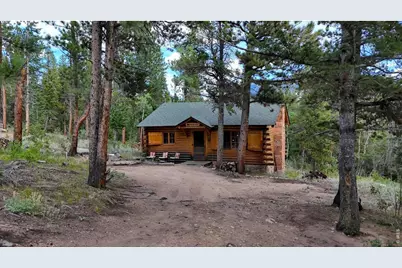 628 County Road 113S, Allenspark, CO 80540 - Photo 15
