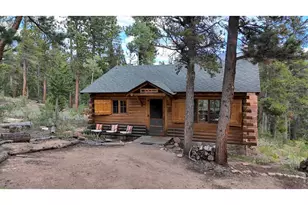 628 County Rd 113S, Allenspark, CO 80540 - Photo 1