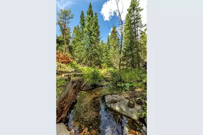 628 County Road 113S, Allenspark, CO 80540 - Photo 17