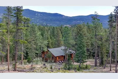 628 County Road 113S, Allenspark, CO 80540 - Photo 21