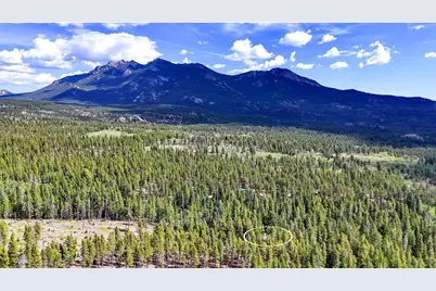 628 County Road 113S, Allenspark, CO 80540 - Photo 23