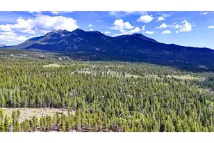 628 County Rd 113S, Allenspark, CO 80540 - Photo 23