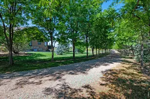 12156 North County Road 17, Fort Collins, CO 80524 - Photo 5