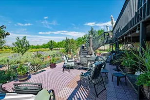 12156 North County Road 17, Fort Collins, CO 80524 - Photo 29
