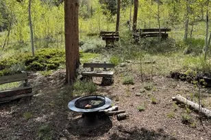 13348 Pingree Park Rd, Bellvue, CO 80512 - Photo 21