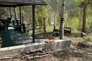 13348 Pingree Park Rd, Bellvue, CO 80512 - Photo 15
