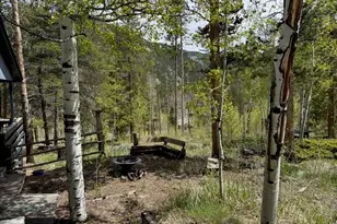 13348 Pingree Park Rd, Bellvue, CO 80512 - Photo 17