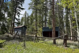 13348 Pingree Park Rd, Bellvue, CO 80512 - Photo 19