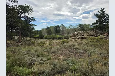 0 Lone Pine Ct, Red Feather Lakes, CO 80545 - Photo 3