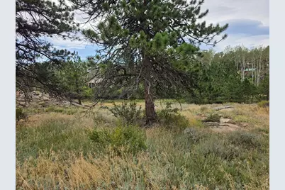 0 Lone Pine Ct, Red Feather Lakes, CO 80545 - Photo 5
