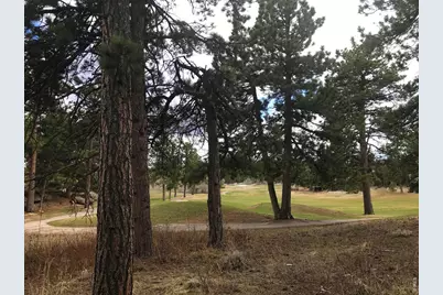 520 Fox Acres Drive W Dr W, Red Feather Lakes, CO 80545 - Photo 7