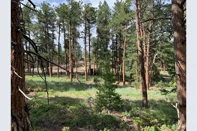 520 Fox Acres Drive W Dr W, Red Feather Lakes, CO 80545 - Photo 17