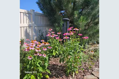 5606 Tumbleweed Ave, Firestone, CO 80504 - Photo 25