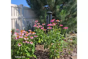 5606 Tumbleweed Ave, Firestone, CO 80504 - Photo 25