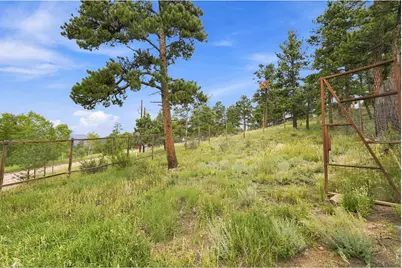313 Deer Trail Dr, Bailey, CO 80421 - Photo 41
