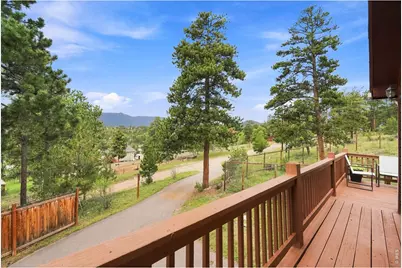 313 Deer Trail Dr, Bailey, CO 80421 - Photo 33