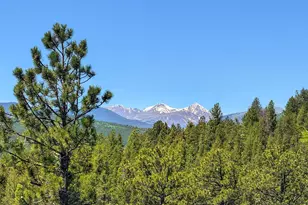 212 Elk Pl, Black Hawk, CO 80422 - Photo 33