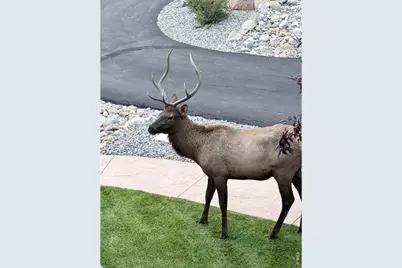 2840 Kiowa Trl, Estes Park, CO 80517 - Photo 49