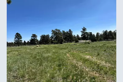 62 White Slide Mountain Ct, Livermore, CO 80536 - Photo 1