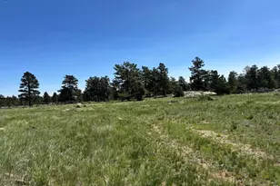 62 White Slide Mountain Ct, Livermore, CO 80536 - Photo 1