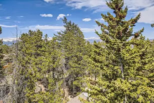 33 L Rd, Golden, CO 80403 - Photo 41