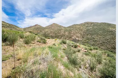 252 Red Mountain Ct, Livermore, CO 80536 - Photo 23