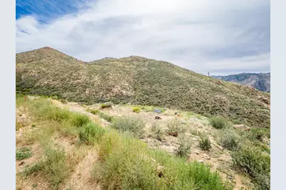 252 Red Mountain Ct, Livermore, CO 80536 - Photo 29