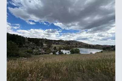 252 Red Mountain Ct, Livermore, CO 80536 - Photo 33