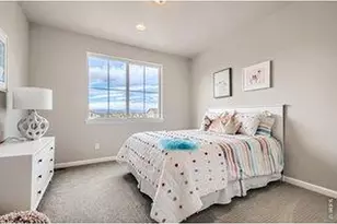 617 Noola St, Windsor, CO 80550 - Photo 13