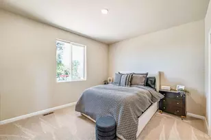 656 Noola St, Windsor, CO 80550 - Photo 19