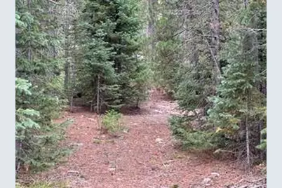 142 Mescalero Dr, Red Feather Lakes, CO 80545 - Photo 39