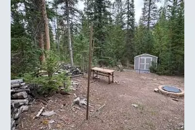 142 Mescalero Dr, Red Feather Lakes, CO 80545 - Photo 17