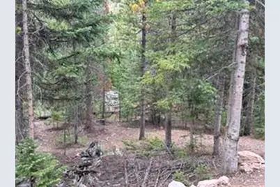 142 Mescalero Dr, Red Feather Lakes, CO 80545 - Photo 9