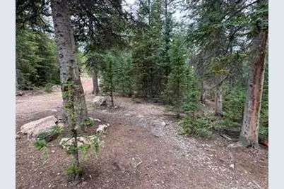 142 Mescalero Dr, Red Feather Lakes, CO 80545 - Photo 19
