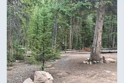 142 Mescalero Dr, Red Feather Lakes, CO 80545 - Photo 15