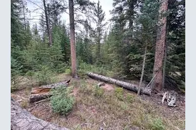 142 Mescalero Dr, Red Feather Lakes, CO 80545 - Photo 33