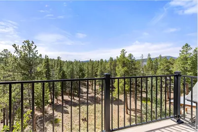 25 Shoshoni Way, Nederland, CO 80466 - Photo 31