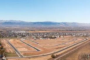 678 Noola St, Windsor, CO 80550 - Photo 29