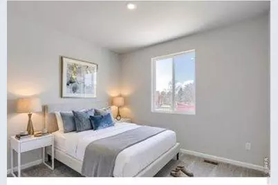 678 Noola St, Windsor, CO 80550 - Photo 21