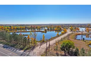 5625 Gelbray Pl, Windsor, CO 80528 - Photo 39