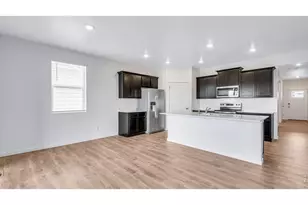 5625 Gelbray Pl, Windsor, CO 80528 - Photo 3
