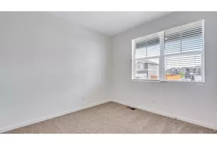 5625 Gelbray Pl, Windsor, CO 80528 - Photo 29