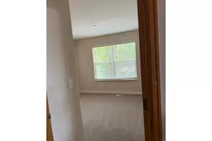 629 Ash St, Windsor, CO 80550 - Photo 11