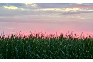 21049 Co Rd P, Fort Morgan, CO 80701 - Photo 41