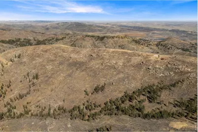 1390 Walking Wind Dr, Bellvue, CO 80512 - Photo 19