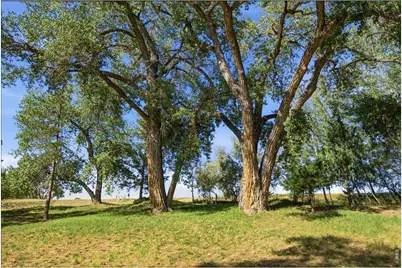 1310 Country Club Rd, Fort Collins, CO 80524 - Photo 41