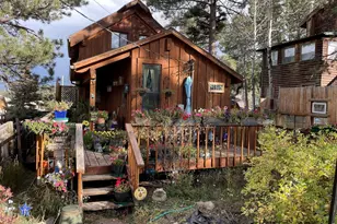 131 S Jackson St, Nederland, CO 80466 - Photo 1