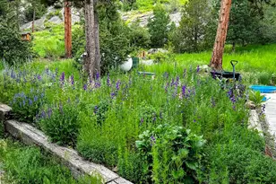 5 Mohawk Rd, Lyons, CO 80540 - Photo 23