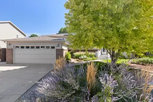 743 Ponderosa Dr, Windsor, CO 80550 - Photo 1