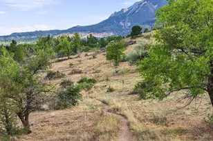 15 Arrowleaf Ct, Boulder, CO 80304 - Photo 37